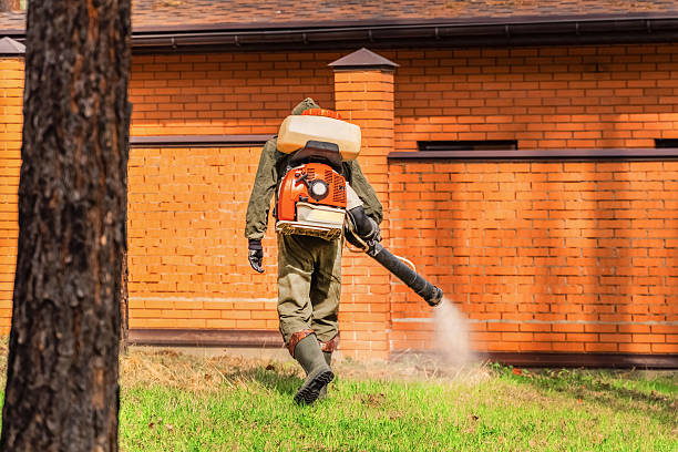 Trusted Ant Control service in Montpelier, ID - Nex Pest Control